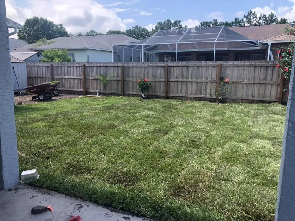 Custom yard cleanup service experts serving New Port Richey, FL - Sod God