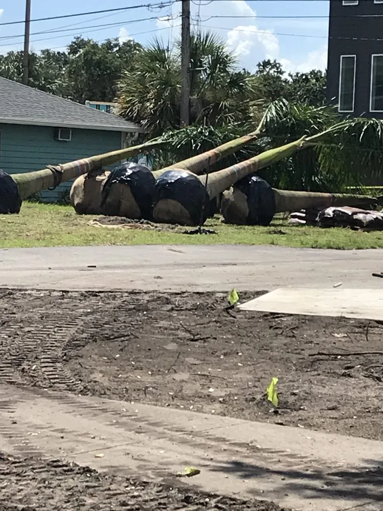 Top-rated landscape installation with custom design across New Port Richey, FL - Sod God