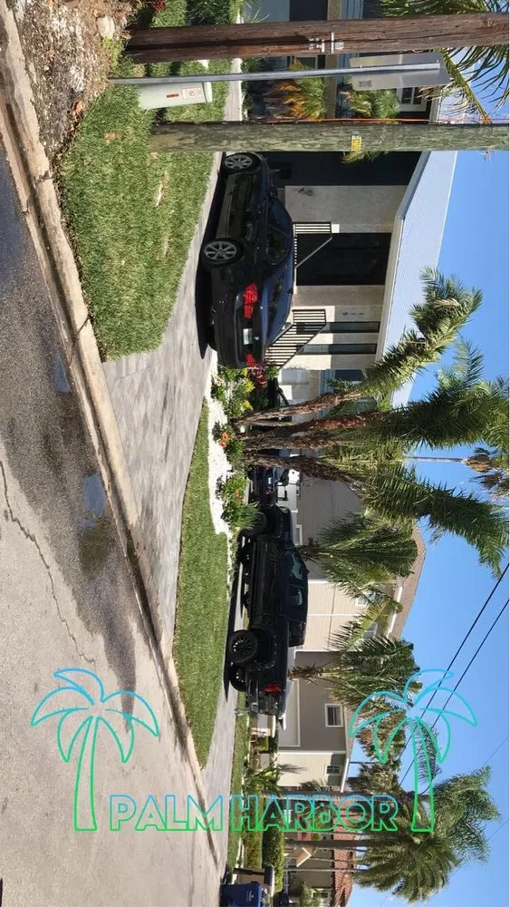 Local landscape design experts serving New Port Richey, FL - Sod God