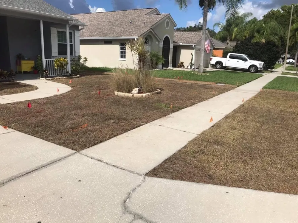 Reliable landscape installation for year-round maintenance in New Port Richey, FL by Sod God