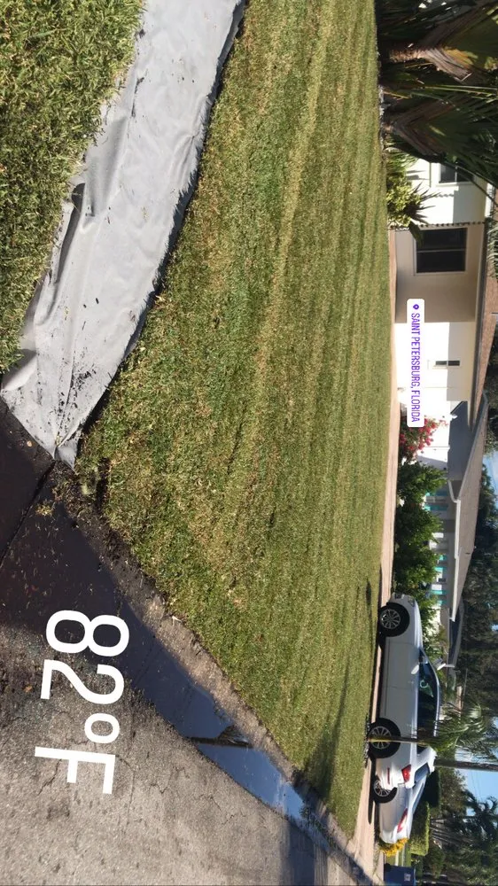 Trusted landscaping services near you in New Port Richey, FL by Sod God