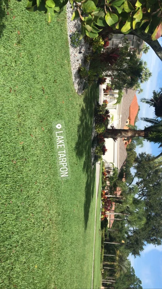 Local landscape installation for year-round maintenance in New Port Richey, FL by Sod God