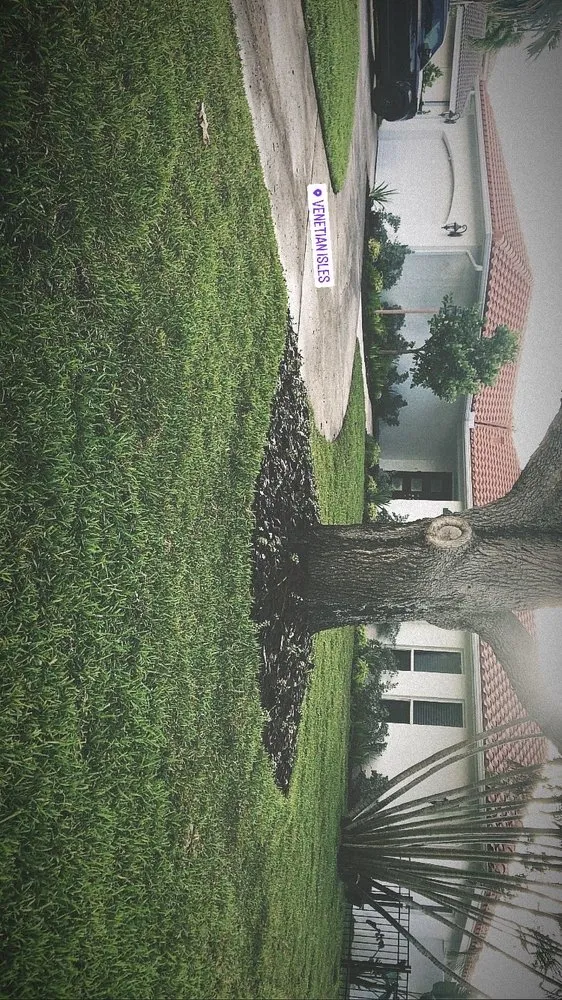 Trusted landscaping services in New Port Richey, FL - Sod God