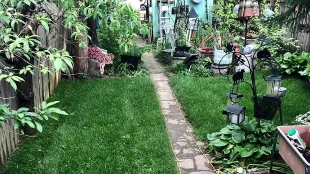 Professional yard maintenance for residential properties in Louisville, KY by Sod Gods Of Louisville