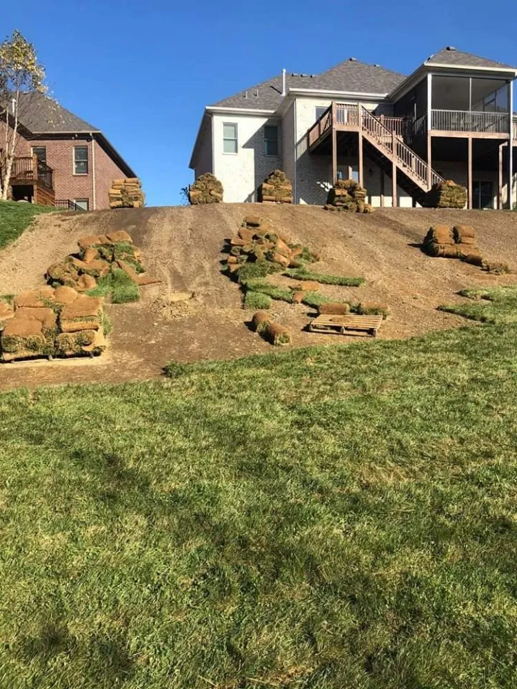 Affordable yard cleanup service experts serving Louisville, KY - Sod Gods Of Louisville