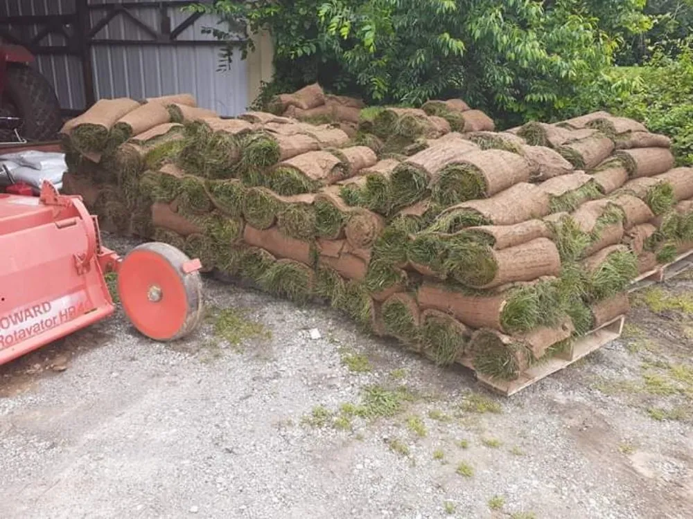 Trusted landscaping services for outdoor upgrades across Louisville, KY - Sod Gods Of Louisville