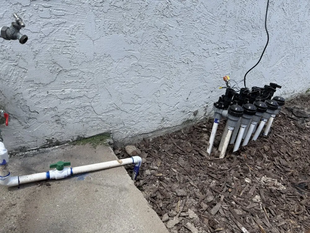 Affordable outdoor landscaping for outdoor upgrades across San Diego, CA - Sod Guys Southern California