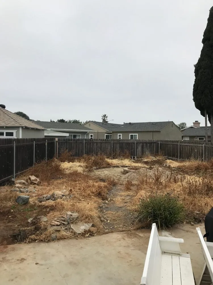 Professional landscape installation in San Diego, CA by Sod Guys Southern California