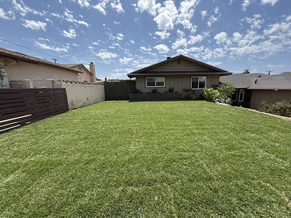Professional landscape design for beautiful yards across San Diego, CA - Sod Guys Southern California