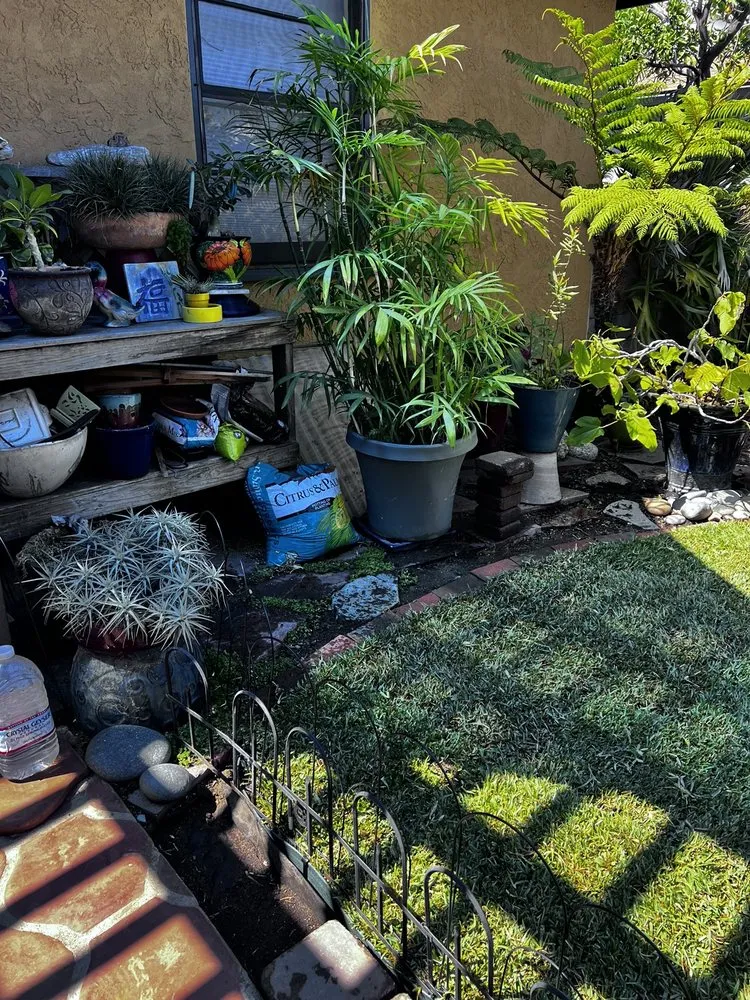 Local yard maintenance in San Diego, CA - Sod Guys Southern California