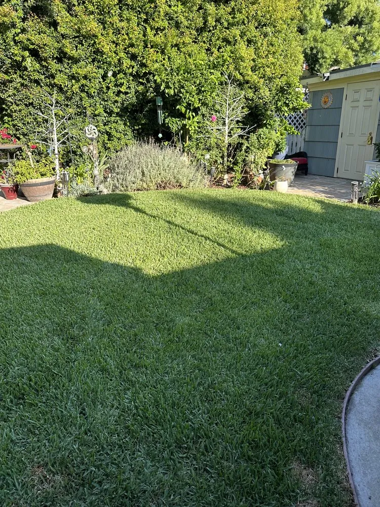 Affordable landscape installation in San Diego, CA by Sod Guys Southern California