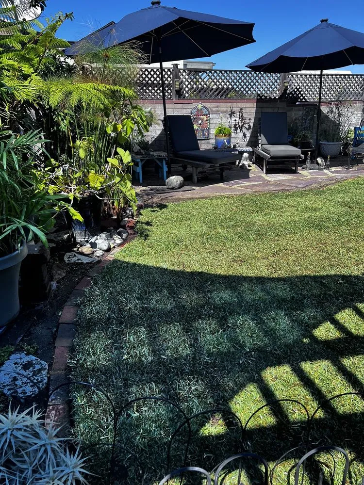 Local yard cleanup service in San Diego, CA by Sod Guys Southern California