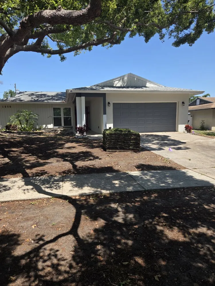 Top-rated yard maintenance experts serving Clearwater, FL - Sod Install & Sod Removal