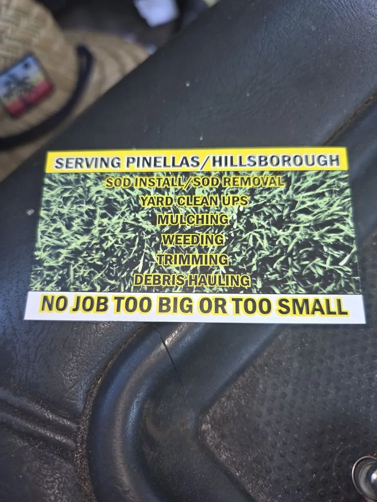 Local lawn care service in Clearwater, FL - Sod Install & Sod Removal