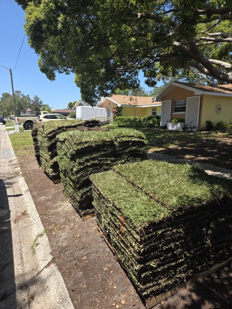 Top-rated outdoor landscaping for outdoor upgrades across Clearwater, FL - Sod Install & Sod Removal