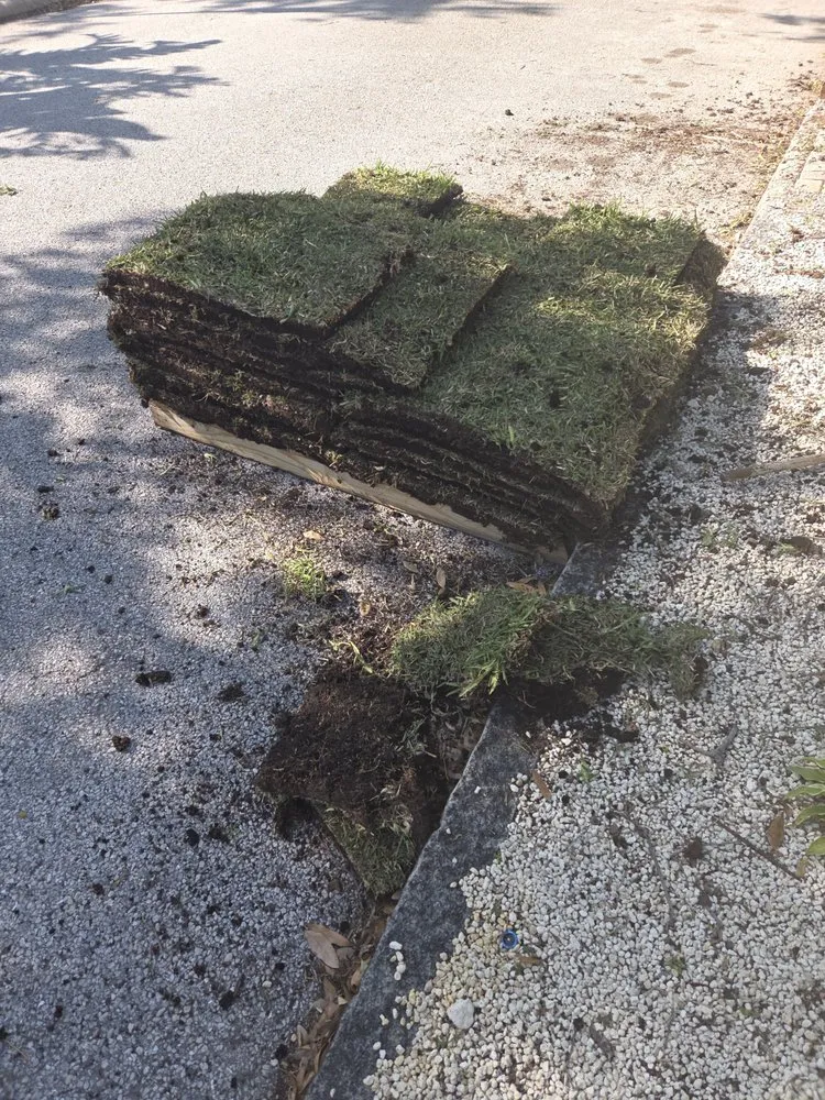 Professional yard cleanup service in Clearwater, FL by Sod Install & Sod Removal