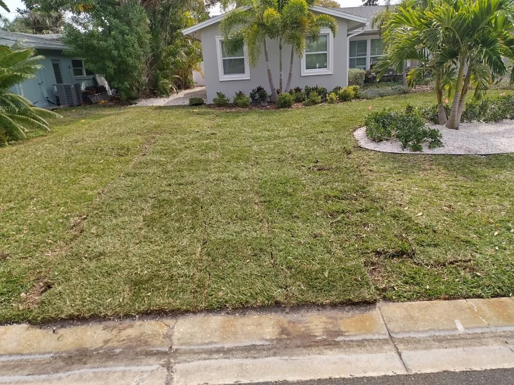 Expert landscape design experts serving Clearwater, FL - Sod Install & Sod Removal