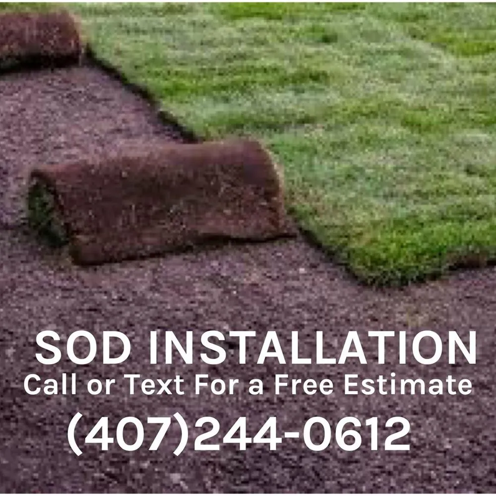 Affordable lawn mowing service experts serving Kissimmee, FL - SOD Installation