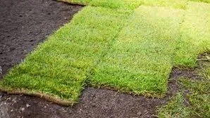 Trusted outdoor landscaping experts serving Kissimmee, FL - SOD Installation