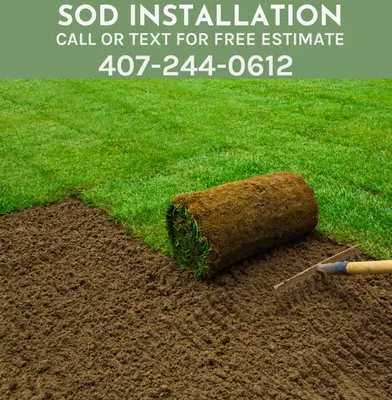 SOD Installation Logo