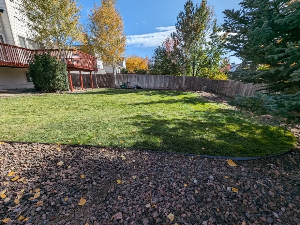 Local lawn care service in Denver, CO by Sod N Things