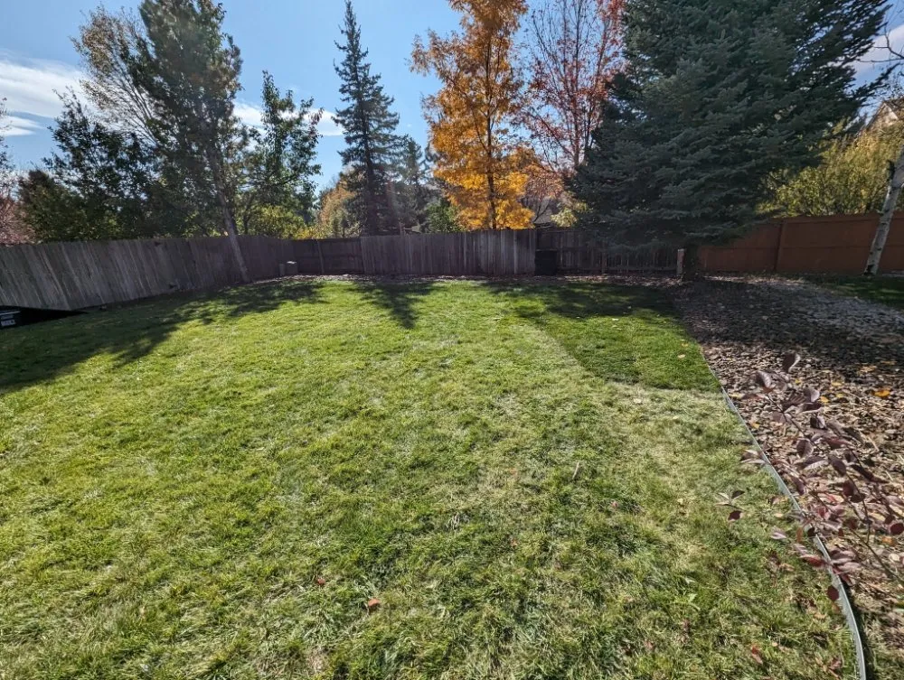 Professional outdoor landscaping for year-round maintenance across Denver, CO - Sod N Things