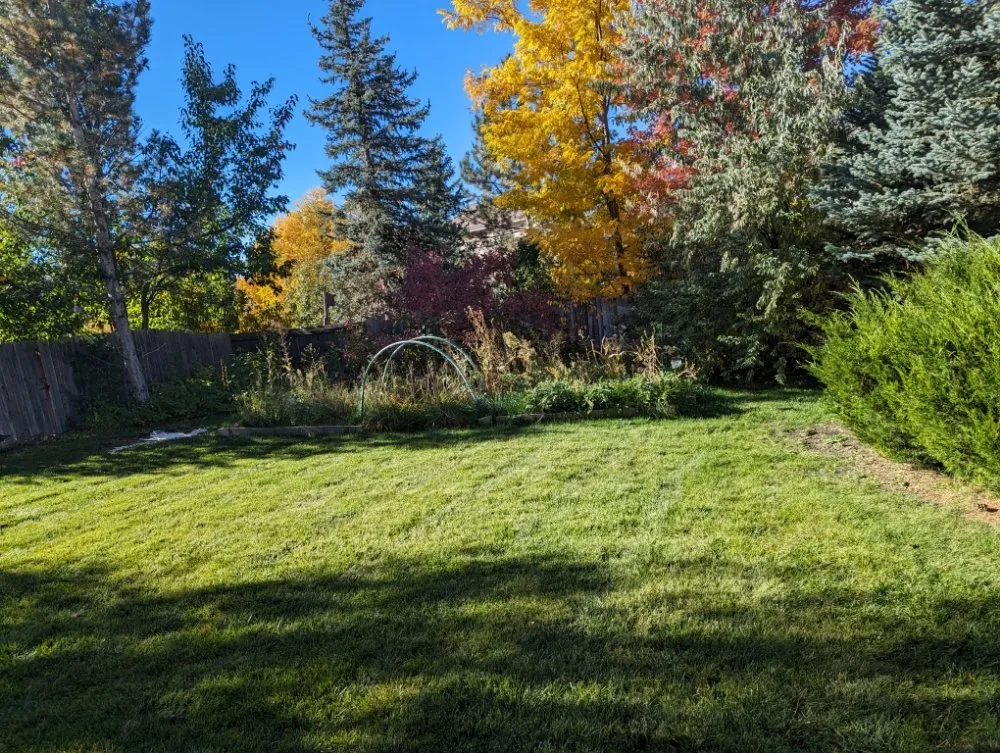 Reliable landscape design for homes across Denver, CO - Sod N Things
