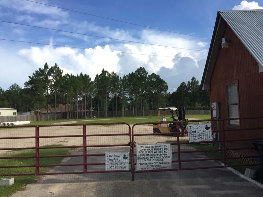 Affordable landscape design in Vancleave, MS by Sod Outlet