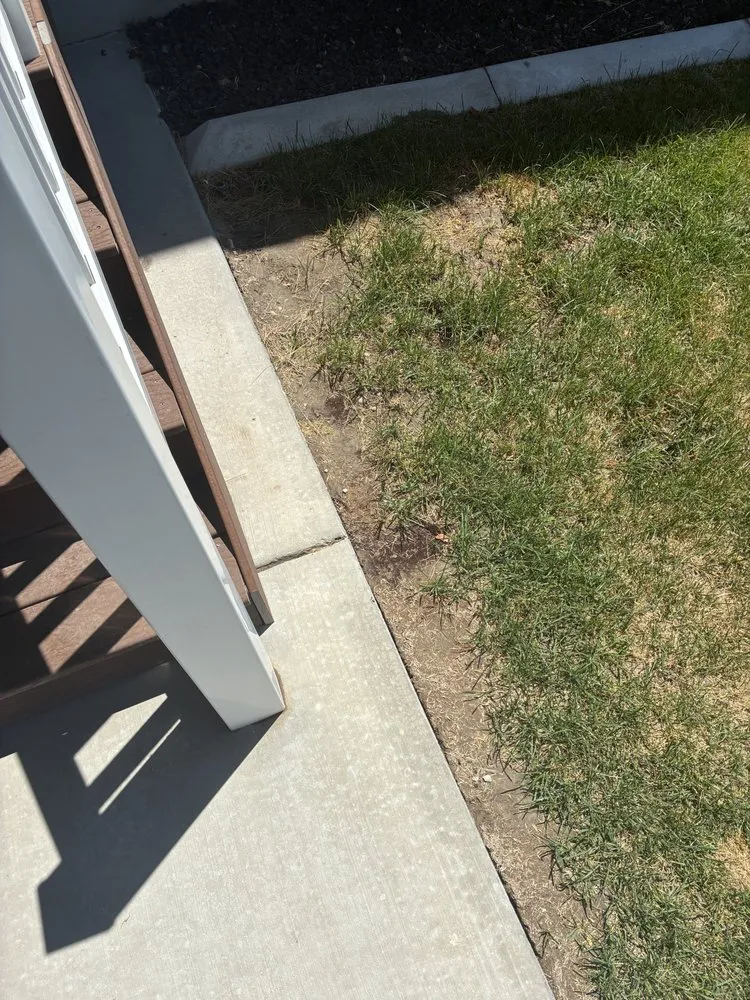 Local yard maintenance for outdoor upgrades across American Fork, UT - Sod Patch Repair