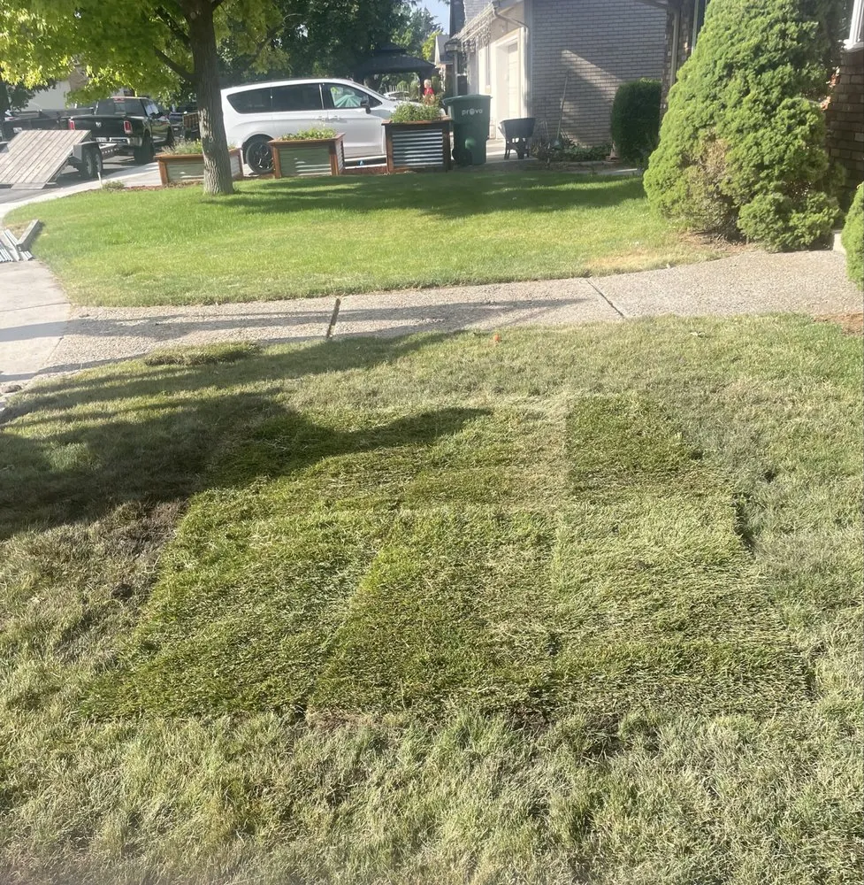 Local lawn mowing service in American Fork, UT by Sod Patch Repair