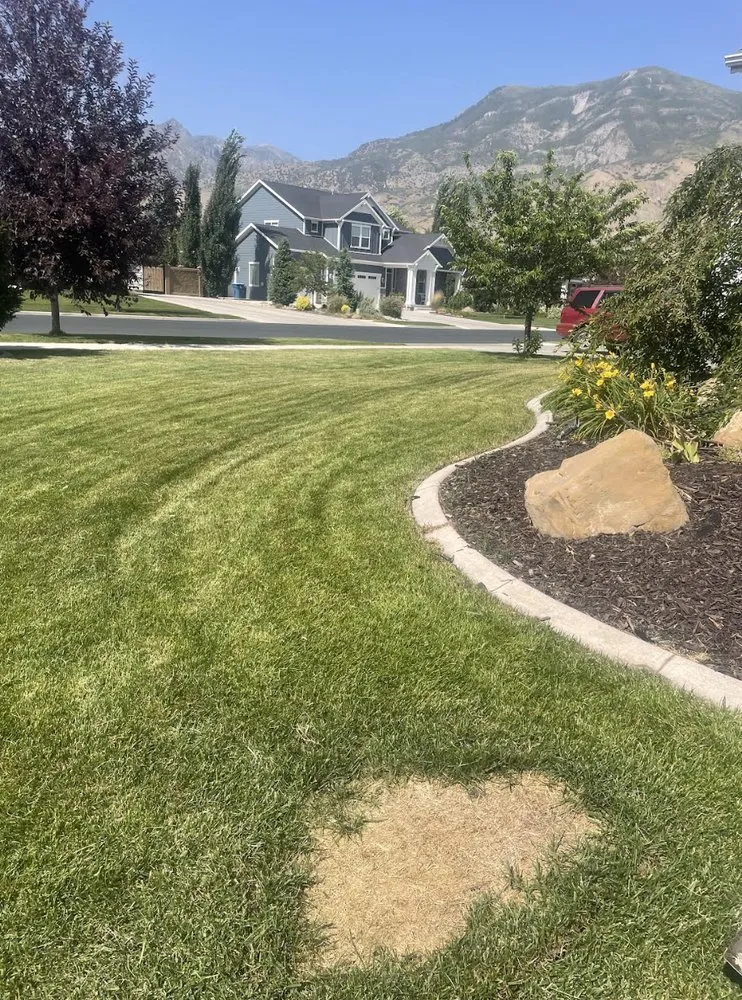 Local yard cleanup service experts serving American Fork, UT - Sod Patch Repair