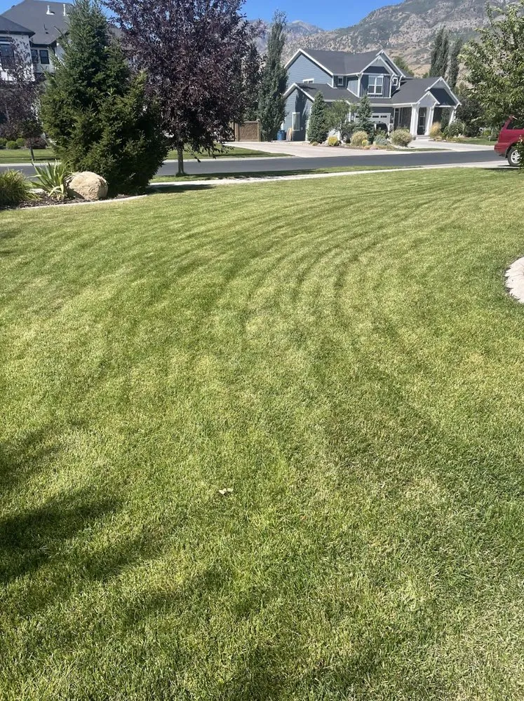 Expert lawn care service for outdoor upgrades in American Fork, UT by Sod Patch Repair