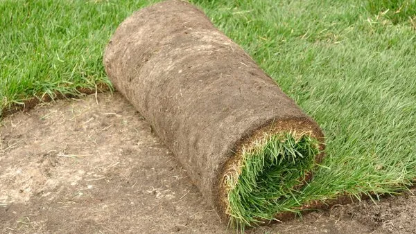 Sod Patch Repair Logo