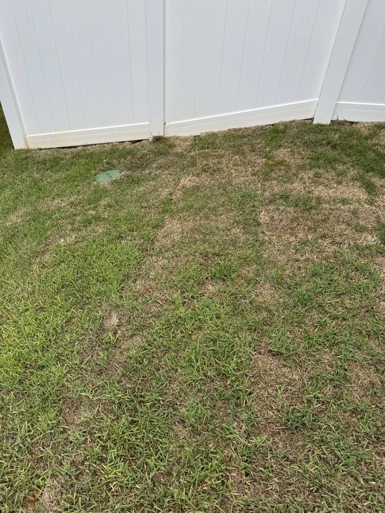 Local yard cleanup service for homes in Simpsonville, SC by Sod Pros Landscaping