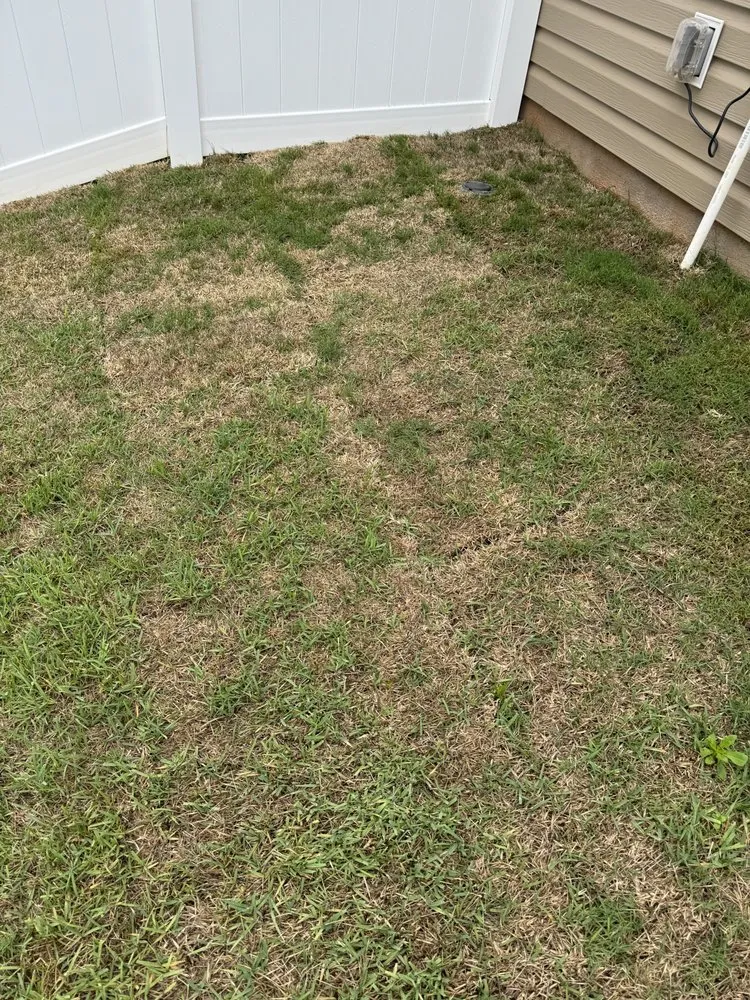 Trusted lawn care service in Simpsonville, SC by Sod Pros Landscaping