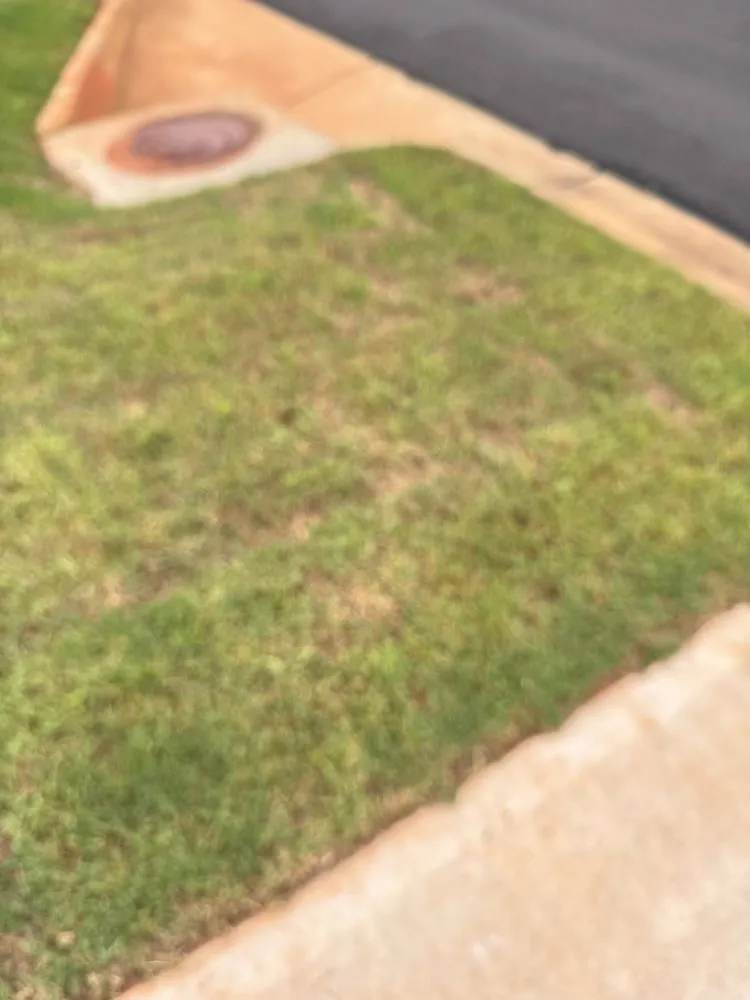 Top-rated landscaping services experts serving Simpsonville, SC - Sod Pros Landscaping