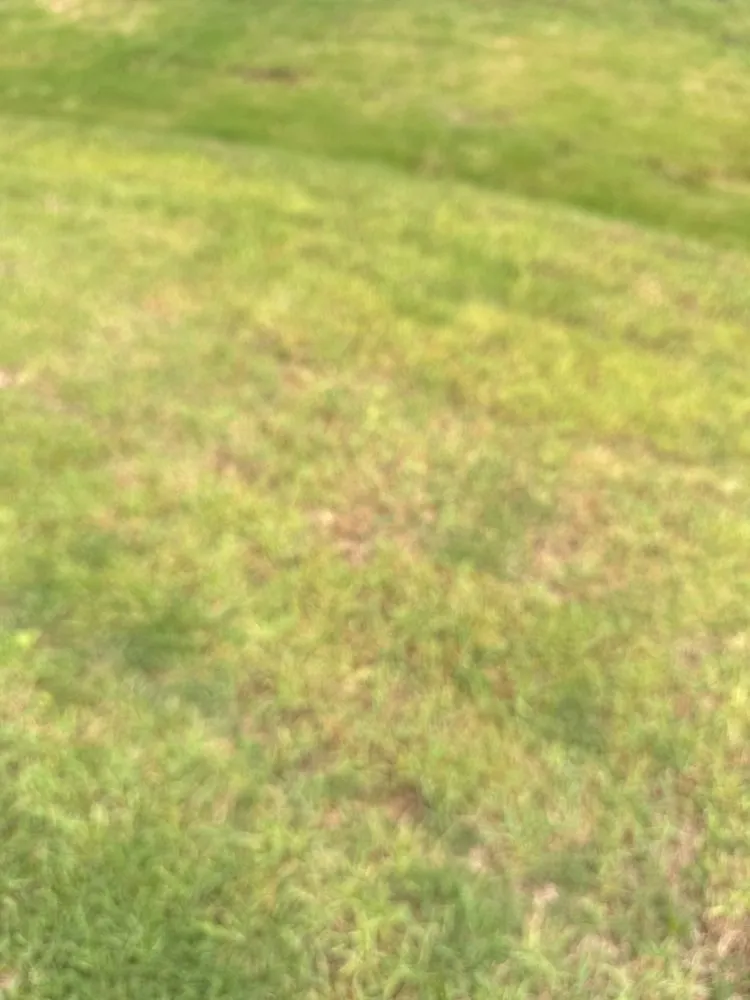 Local landscape design for beautiful yards in Simpsonville, SC by Sod Pros Landscaping