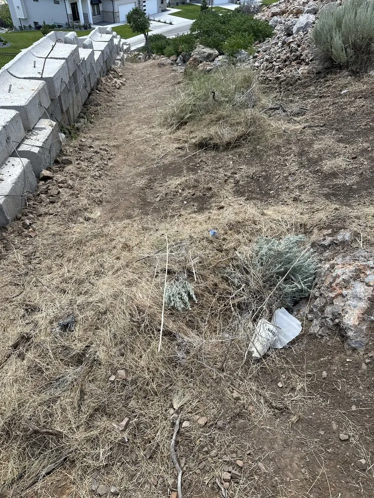 Professional landscape design experts serving Alpine, UT - Sod Repair Service