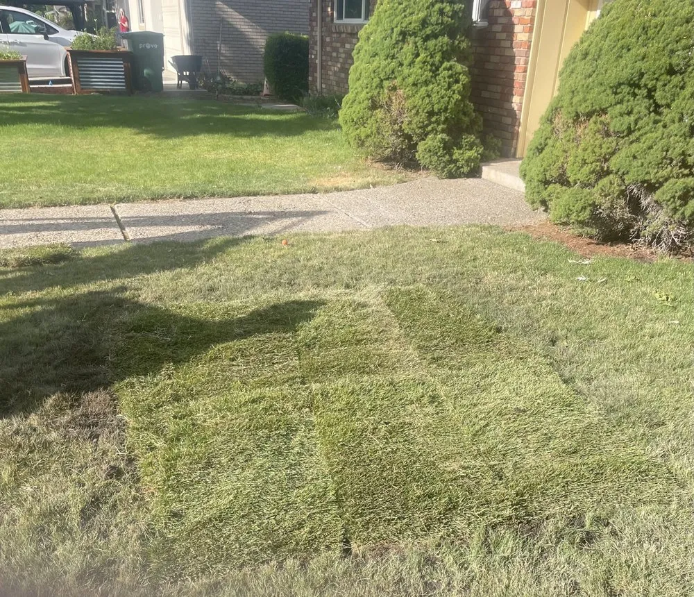Professional garden landscaping in Alpine, UT - Sod Repair Service