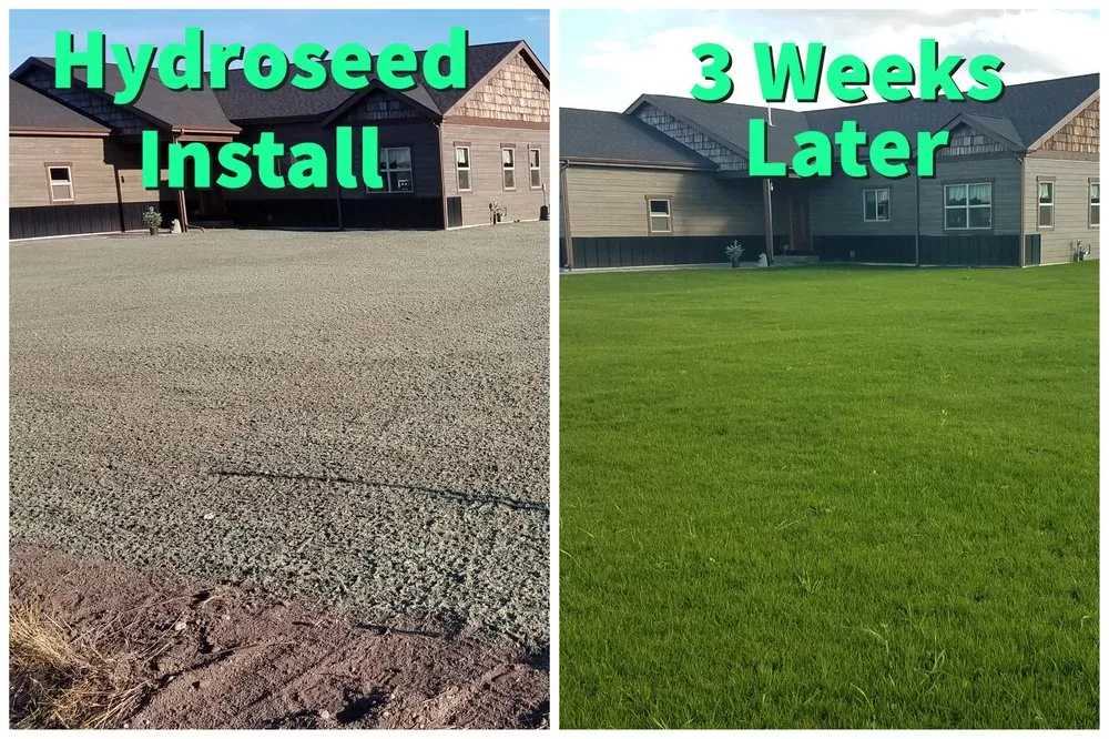 Top-rated residential landscaping in Kalispell, MT - Sod Science