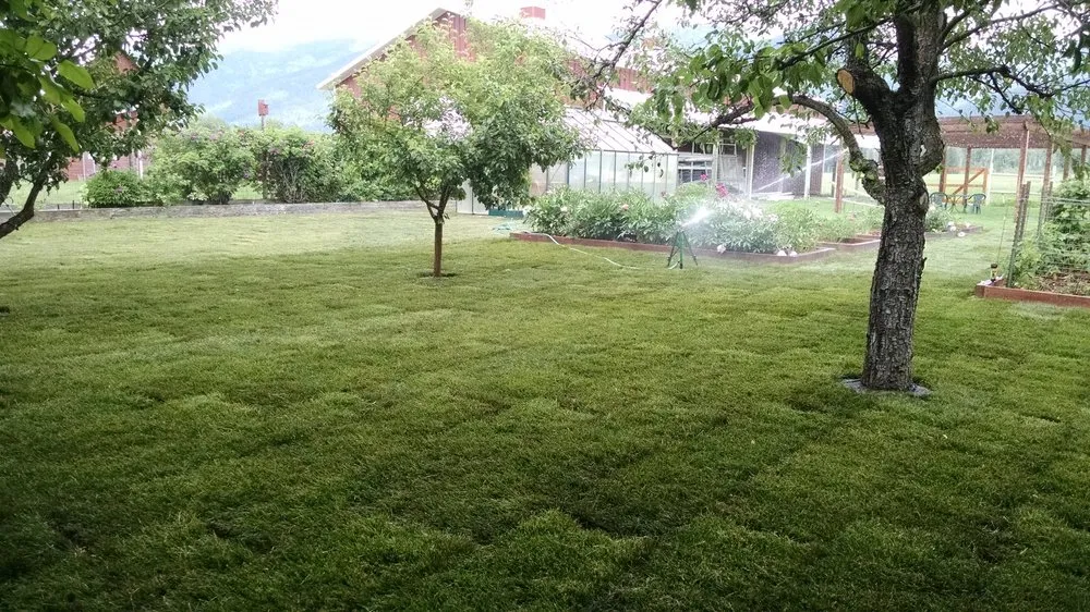 Professional landscaping services in Kalispell, MT - Sod Science