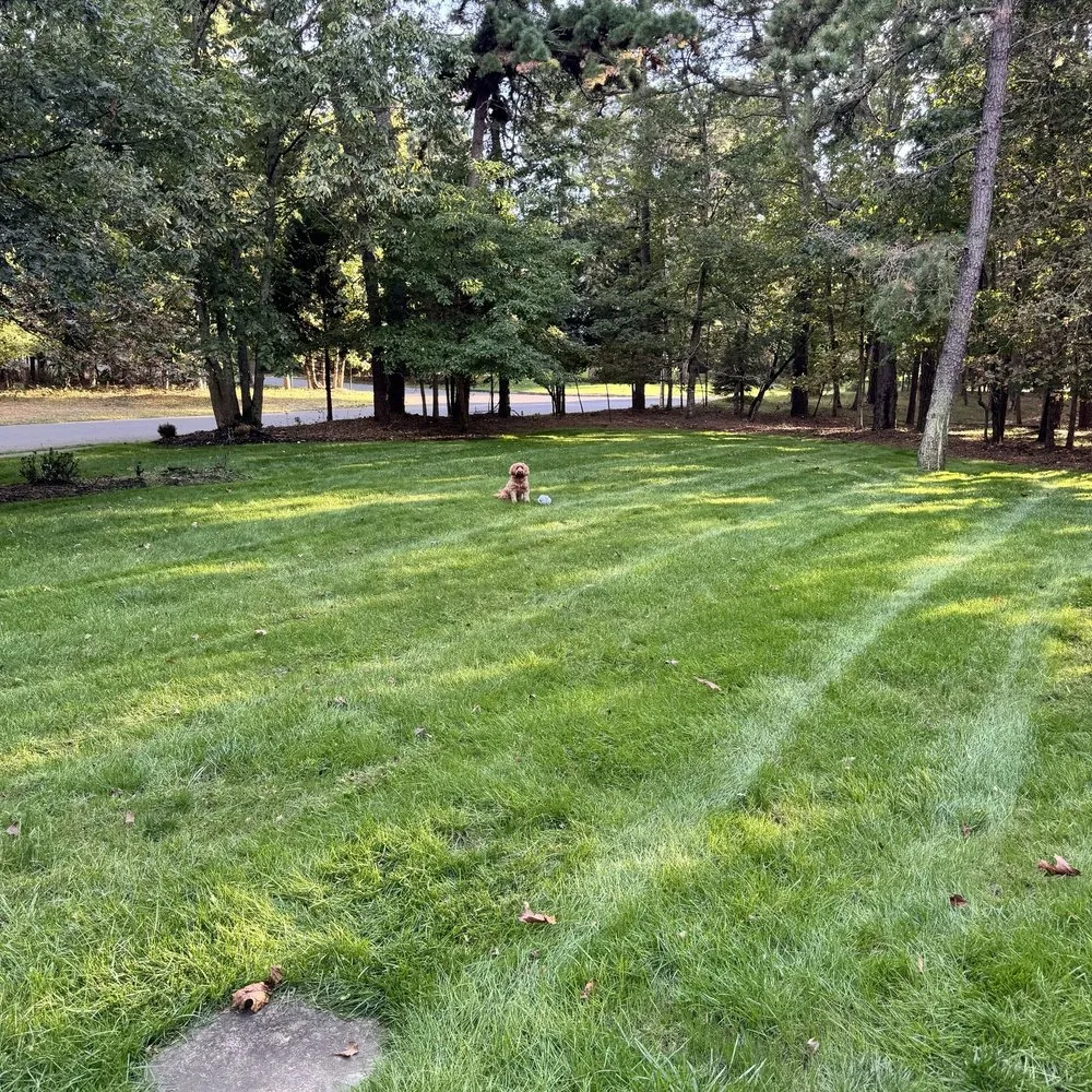 Local landscape design experts serving Shamong, NJ - Sod Services