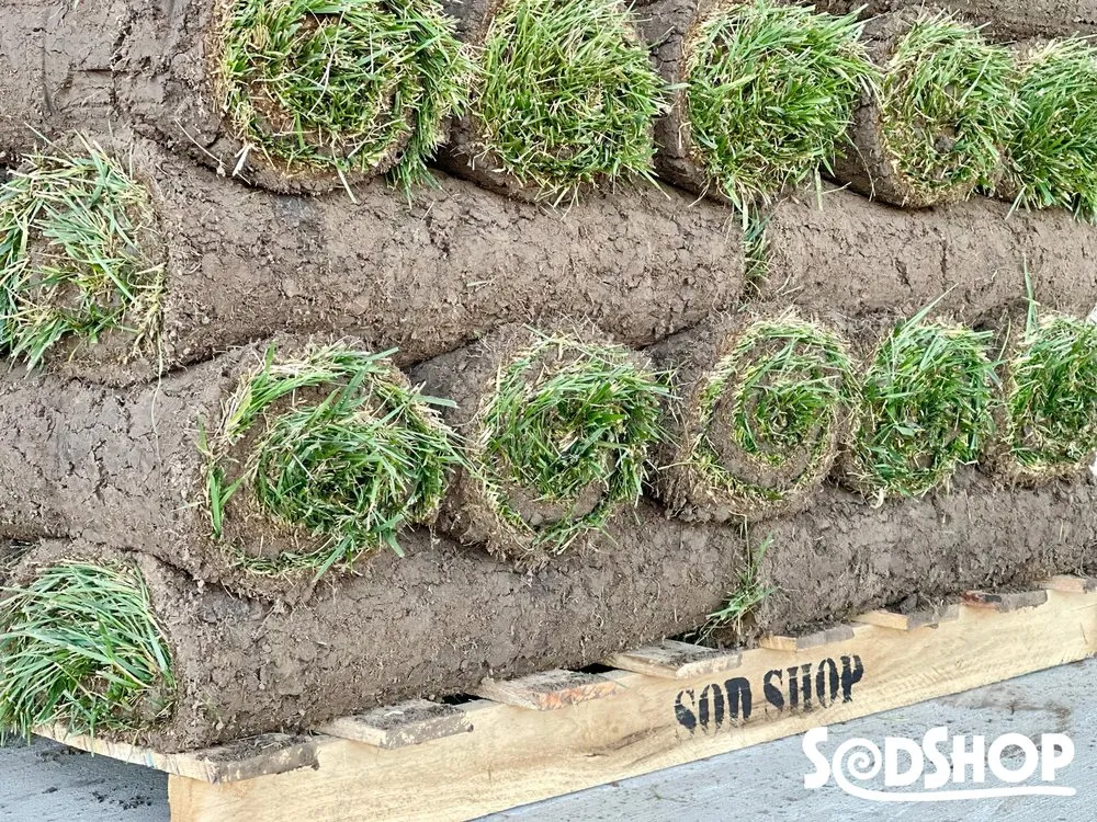 Trusted lawn care service in Wichita, KS by Sod Shop