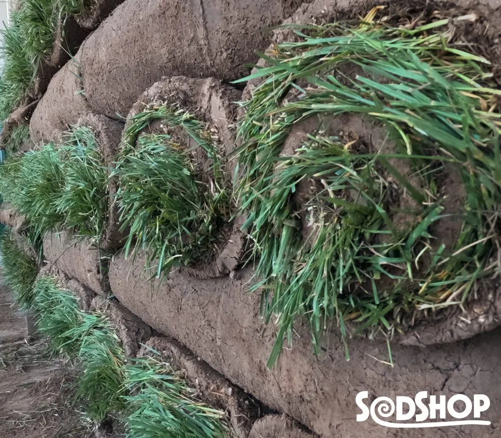 Expert yard cleanup service experts serving Wichita, KS - Sod Shop