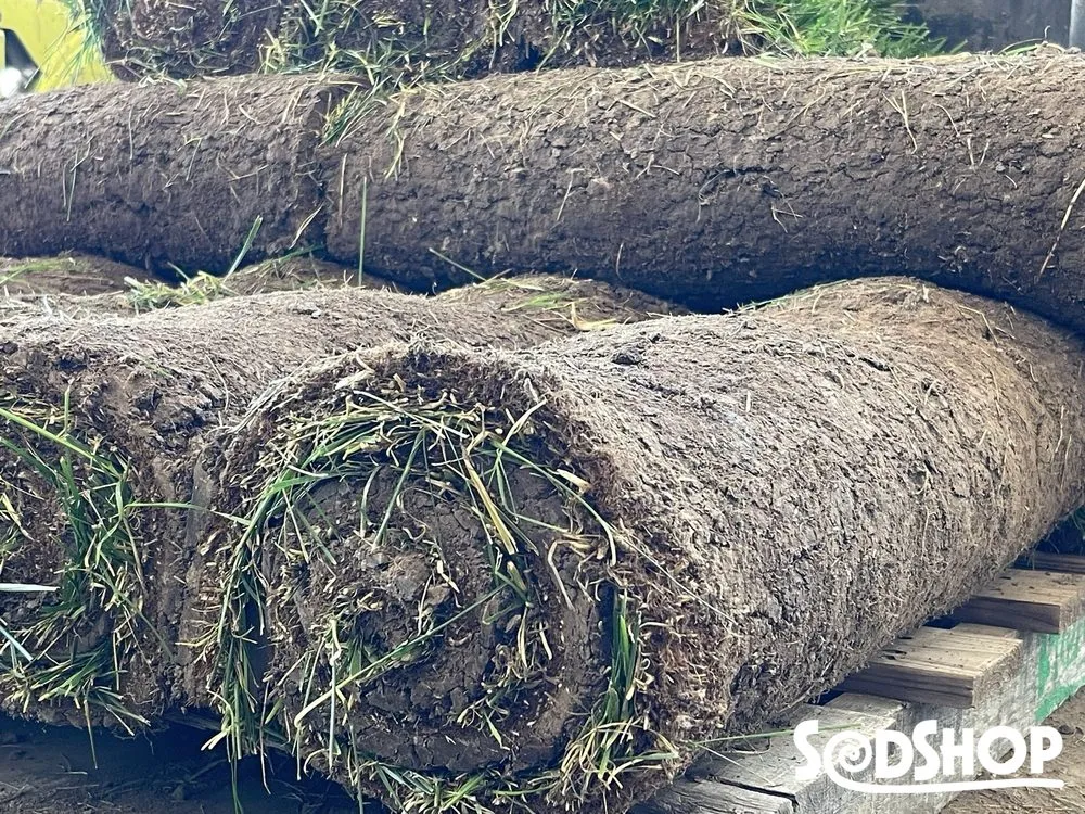 Trusted landscaping services in Wichita, KS by Sod Shop