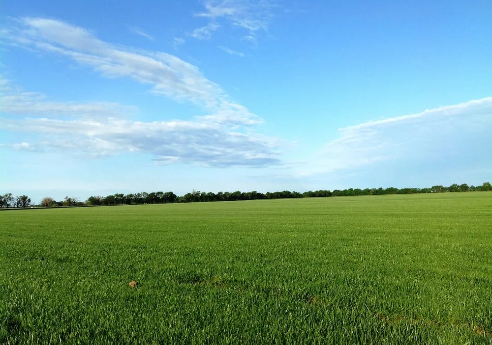 Expert yard maintenance in Wichita, KS by Sod Shop