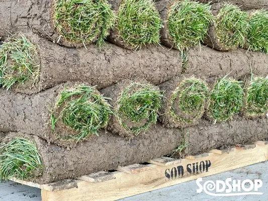 Sod Shop Logo