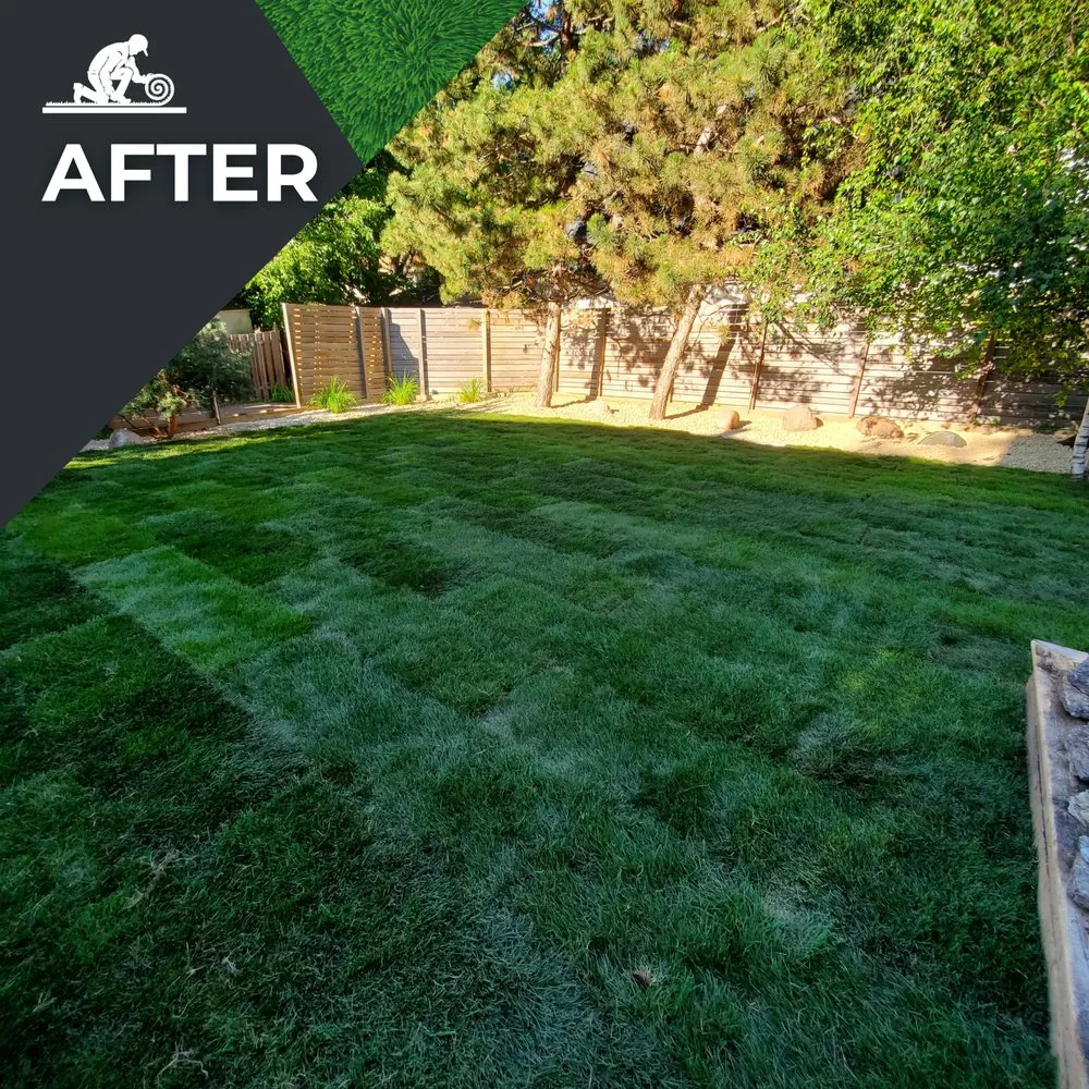 Trusted yard cleanup service for outdoor upgrades in Minneapolis, MN by Sod Smith