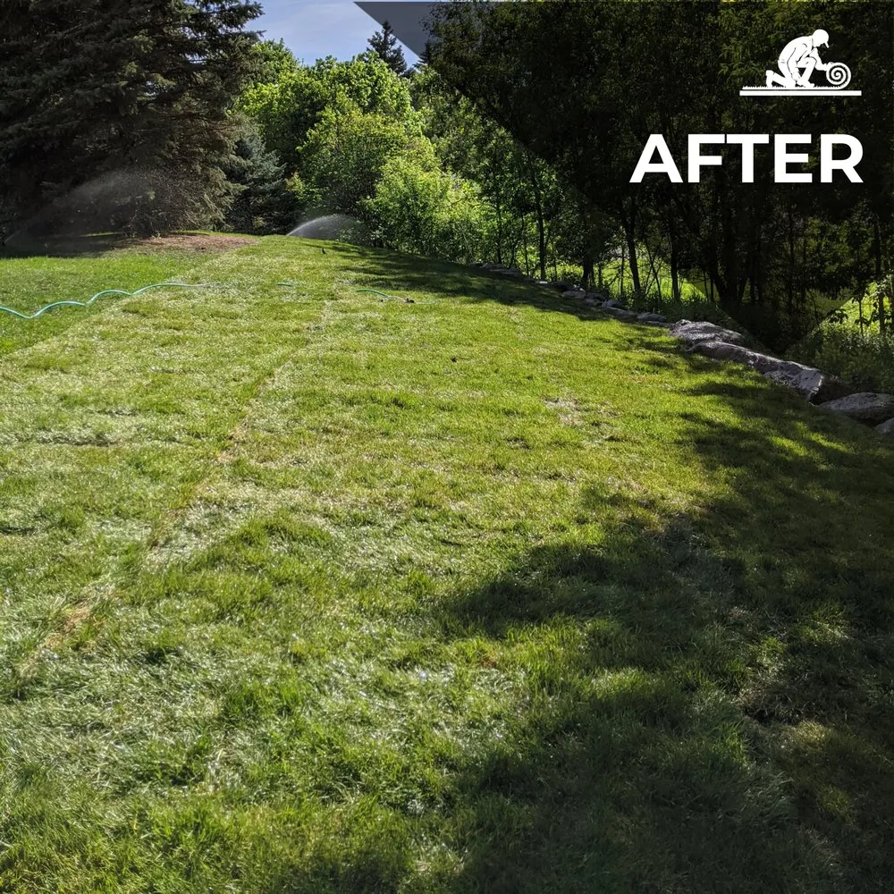 Custom outdoor landscaping in Minneapolis, MN - Sod Smith