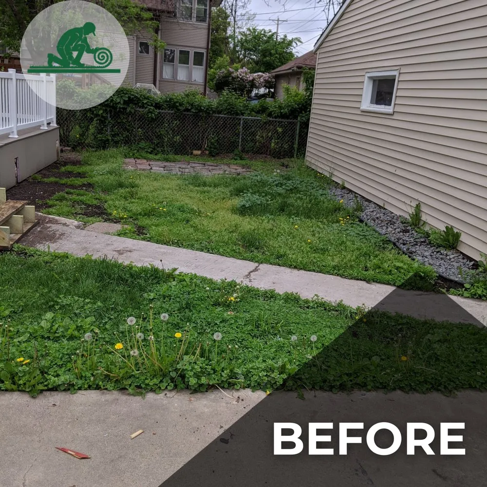 Expert landscape design for beautiful yards in Minneapolis, MN by Sod Smith